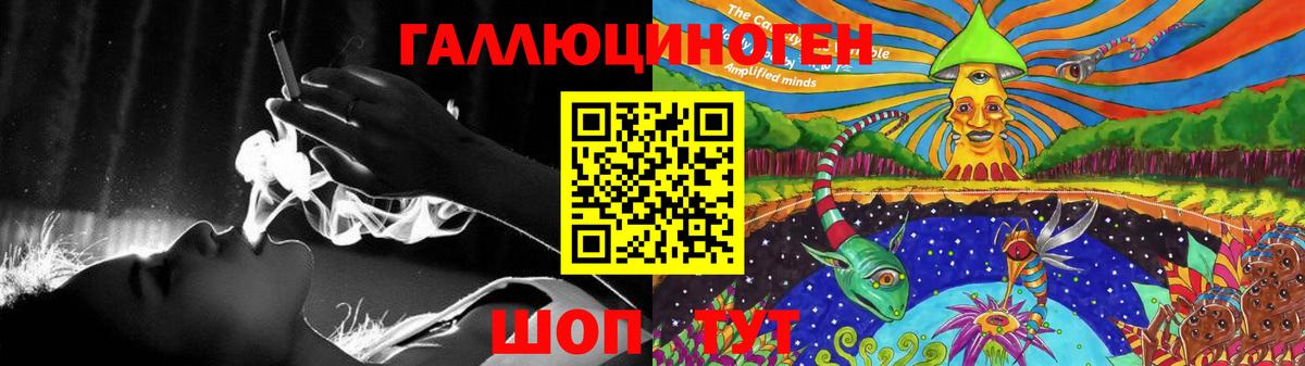 Псилоцибиновые грибы Psilocybine cubensis  как найти наркотики  Ачхой-Мартан  Псилоцибиновые грибы Psilocybe  Вход с VPN 